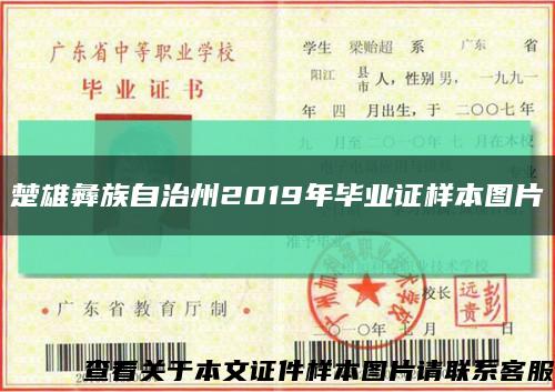 楚雄彝族自治州2019年毕业证样本图片缩略图