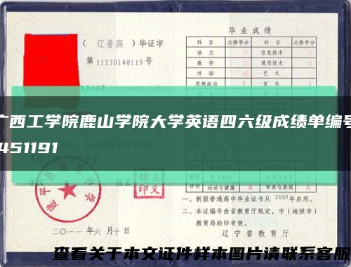 广西工学院鹿山学院大学英语四六级成绩单编号:451191缩略图