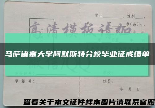 马萨诸塞大学阿默斯特分校毕业证成绩单缩略图