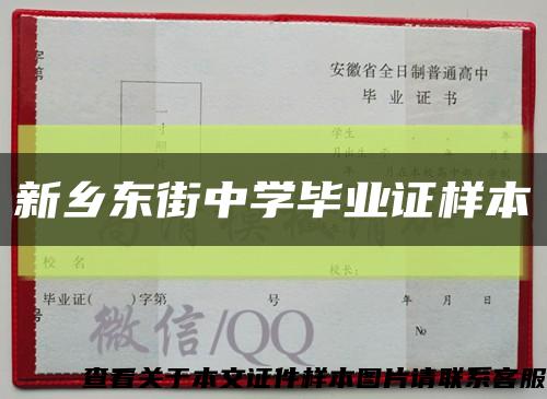 新乡东街中学毕业证样本缩略图