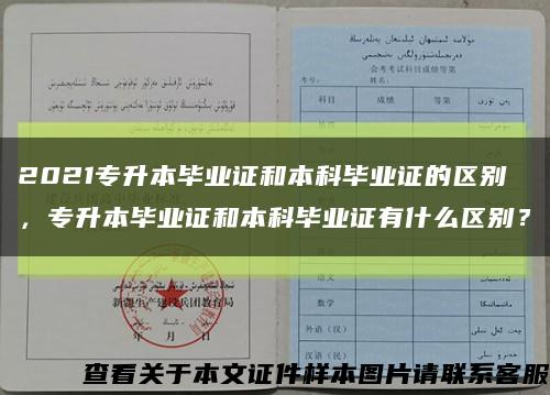 2021专升本毕业证和本科毕业证的区别，专升本毕业证和本科毕业证有什么区别？缩略图