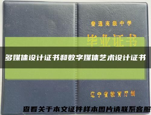 多媒体设计证书和数字媒体艺术设计证书缩略图