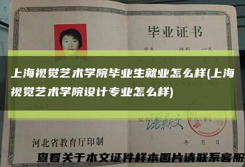 上海视觉艺术学院毕业生就业怎么样(上海视觉艺术学院设计专业怎么样)缩略图