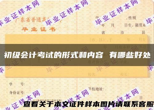 初级会计考试的形式和内容 有哪些好处缩略图