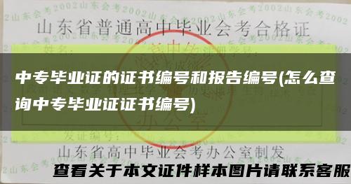 中专毕业证的证书编号和报告编号(怎么查询中专毕业证证书编号)缩略图