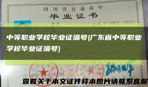 中等职业学校毕业证编号(广东省中等职业学校毕业证编号)缩略图