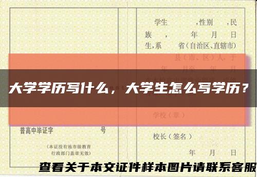 大学学历写什么，大学生怎么写学历？缩略图