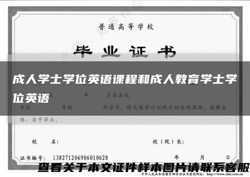 成人学士学位英语课程和成人教育学士学位英语缩略图