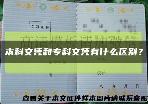 本科文凭和专科文凭有什么区别？缩略图