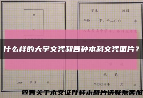 什么样的大学文凭和各种本科文凭图片？缩略图