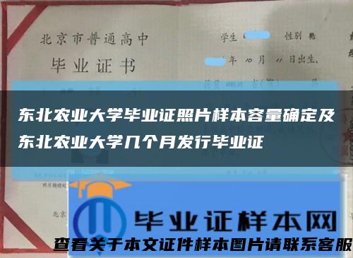 东北农业大学毕业证照片样本容量确定及东北农业大学几个月发行毕业证缩略图