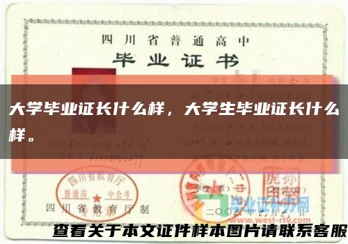 大学毕业证长什么样，大学生毕业证长什么样。缩略图