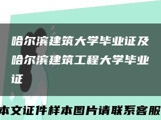 哈尔滨建筑大学毕业证及哈尔滨建筑工程大学毕业证缩略图