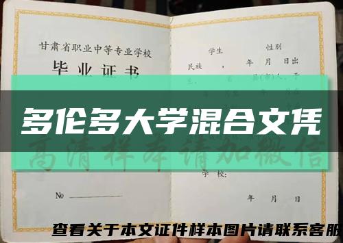 多伦多大学混合文凭缩略图