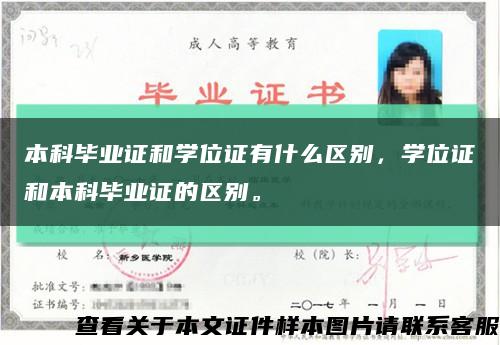 本科毕业证和学位证有什么区别，学位证和本科毕业证的区别。缩略图