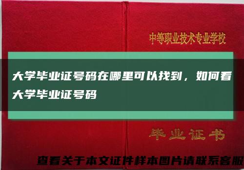 大学毕业证号码在哪里可以找到，如何看大学毕业证号码缩略图