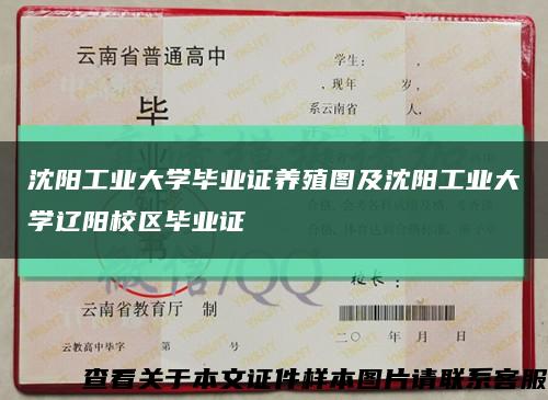 沈阳工业大学毕业证养殖图及沈阳工业大学辽阳校区毕业证缩略图