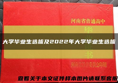 大学毕业生选拔及2022年大学毕业生选拔缩略图