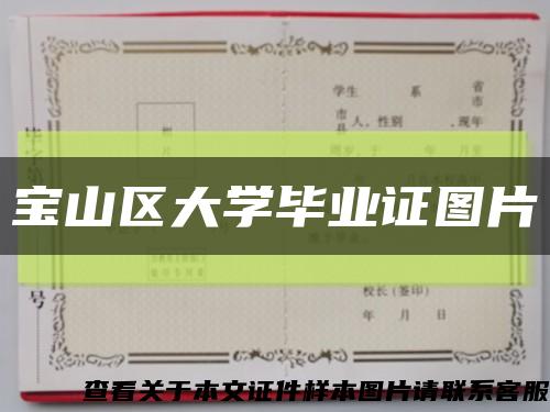 宝山区大学毕业证图片缩略图