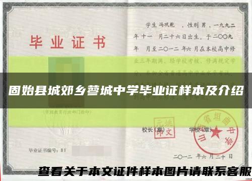 固始县城郊乡蓼城中学毕业证样本及介绍缩略图