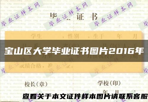 宝山区大学毕业证书图片2016年缩略图