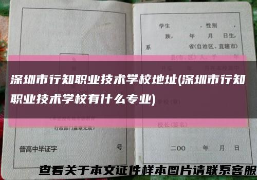 深圳市行知职业技术学校地址(深圳市行知职业技术学校有什么专业)缩略图