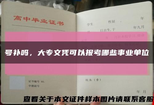 号补吗，大专文凭可以报考哪些事业单位缩略图