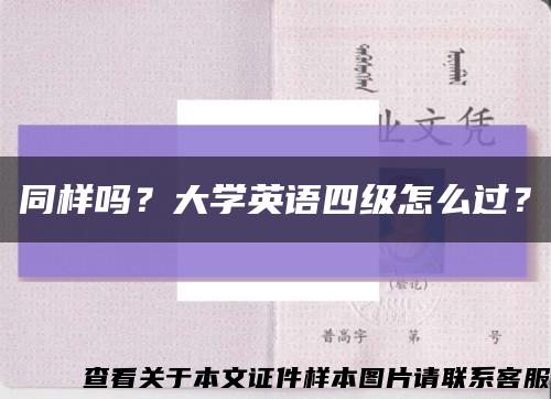 同样吗？大学英语四级怎么过？缩略图