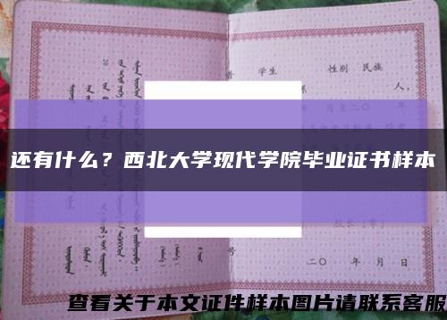 还有什么？西北大学现代学院毕业证书样本缩略图