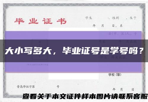 大小写多大，毕业证号是学号吗？缩略图