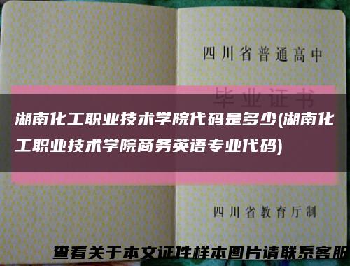 湖南化工职业技术学院代码是多少(湖南化工职业技术学院商务英语专业代码)缩略图