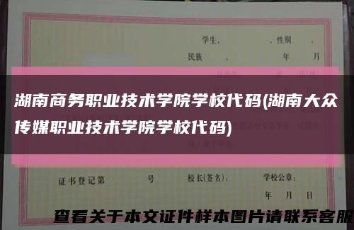 湖南商务职业技术学院学校代码(湖南大众传媒职业技术学院学校代码)缩略图