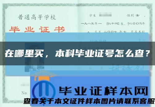 在哪里买，本科毕业证号怎么查？缩略图