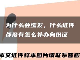 为什么会缓发，什么证件都没有怎么补办身份证缩略图