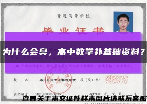 为什么会臭，高中数学补基础资料？缩略图