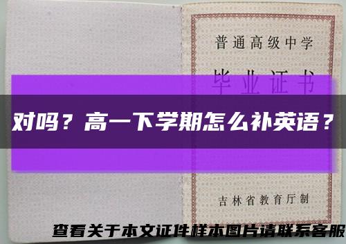 对吗？高一下学期怎么补英语？缩略图