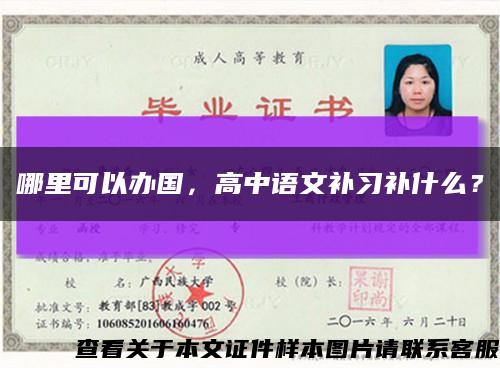 哪里可以办国，高中语文补习补什么？缩略图