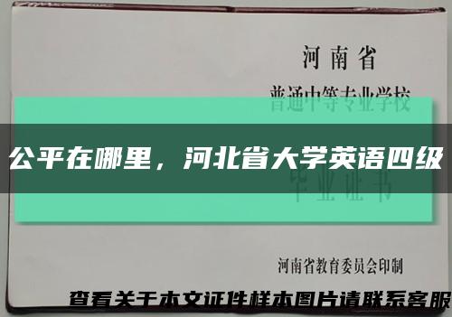 公平在哪里，河北省大学英语四级缩略图