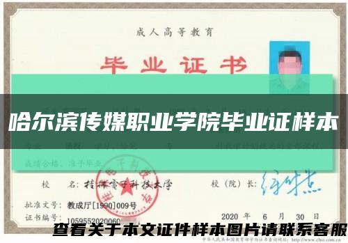 哈尔滨传媒职业学院毕业证样本缩略图