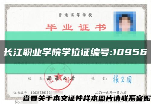 长江职业学院学位证编号:10956缩略图