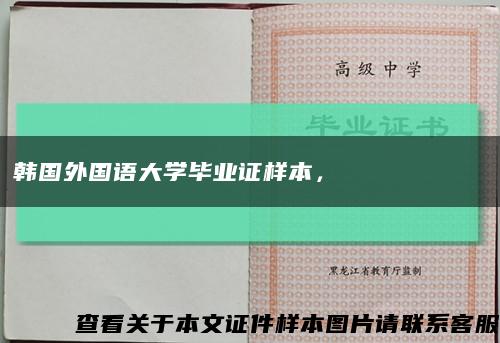 韩国外国语大学毕业证样本，한국외국어대학교 졸업장缩略图