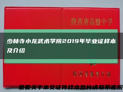 少林寺小龙武术学院2019年毕业证样本及介绍缩略图