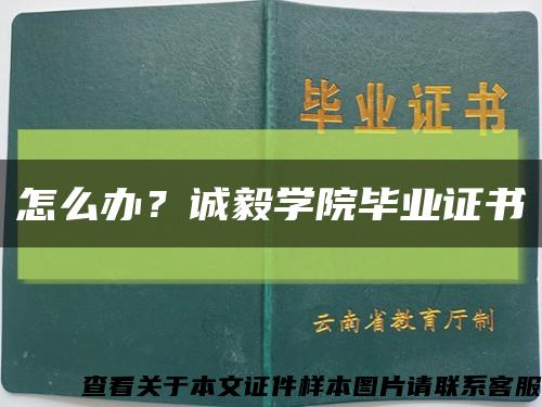 怎么办？诚毅学院毕业证书缩略图