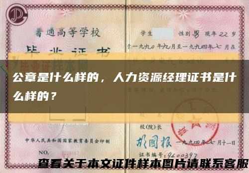 公章是什么样的，人力资源经理证书是什么样的？缩略图