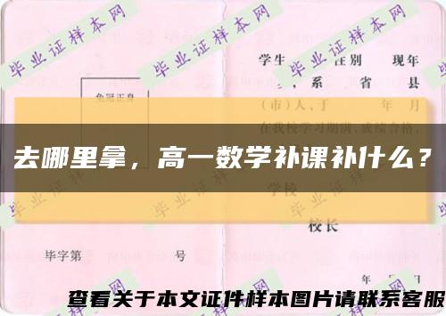 去哪里拿，高一数学补课补什么？缩略图