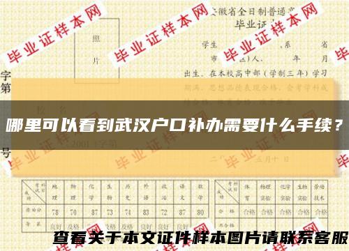 哪里可以看到武汉户口补办需要什么手续？缩略图