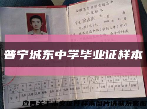 普宁城东中学毕业证样本缩略图