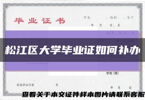 松江区大学毕业证如何补办缩略图