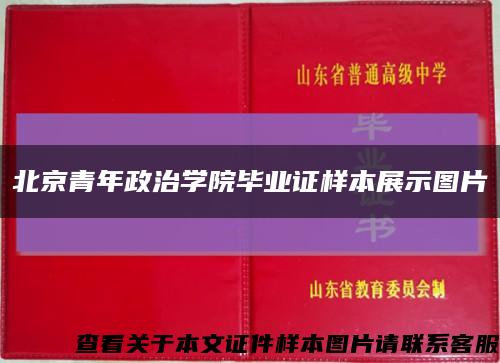 北京青年政治学院毕业证样本展示图片缩略图