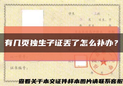 有几页独生子证丢了怎么补办？缩略图